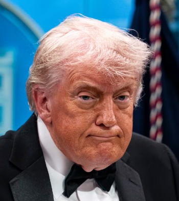 Name Blank tweet media