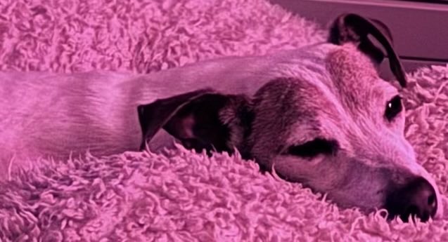 Jonathan🌊🌊🌊#VoteBlue2026 #RESIST🇺🇸 #BLUE🌊 tweet media