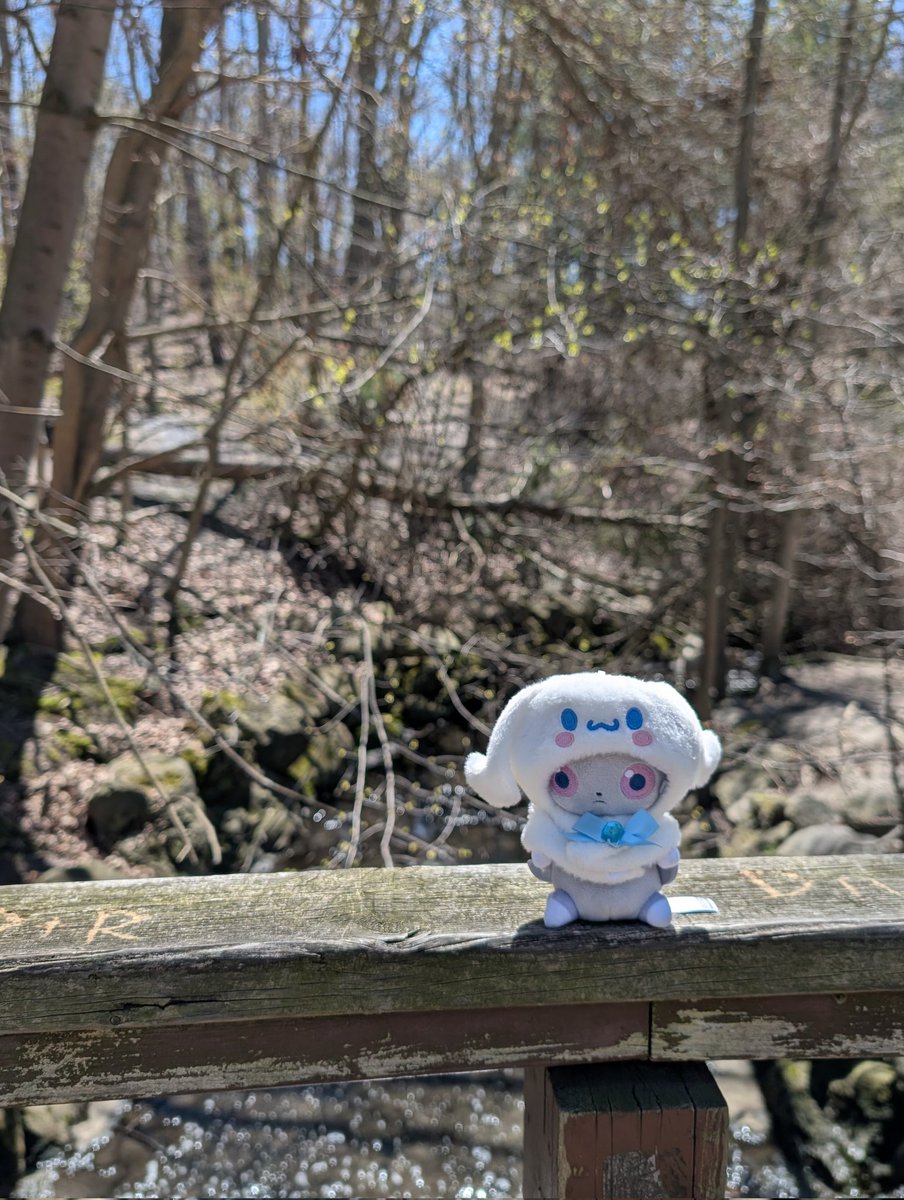 ぱくぱく tweet media