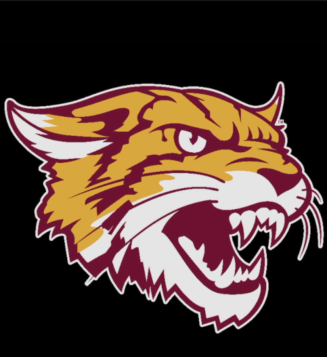 t0_him's tweet photo. Extremely blessed to receive a  D1 offer from Bethune-Cookman University
@14twalk @CoachDillard5
@thaRD5 AGTG🙏🏾 https://t.co/cMDAQ2nIrh