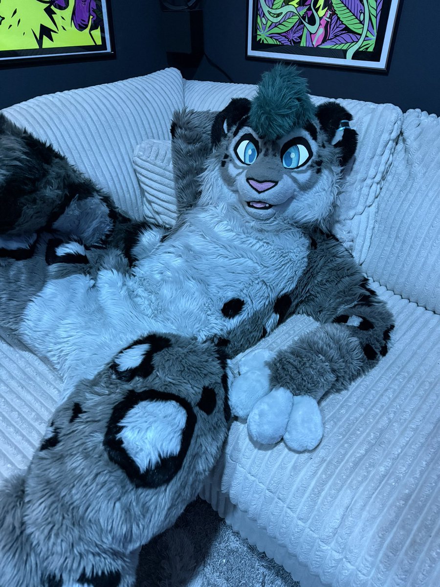 frostbyte910's tweet image. Snep is waiting…#snep #snowleopard #furry #fursuiter #cuddle
