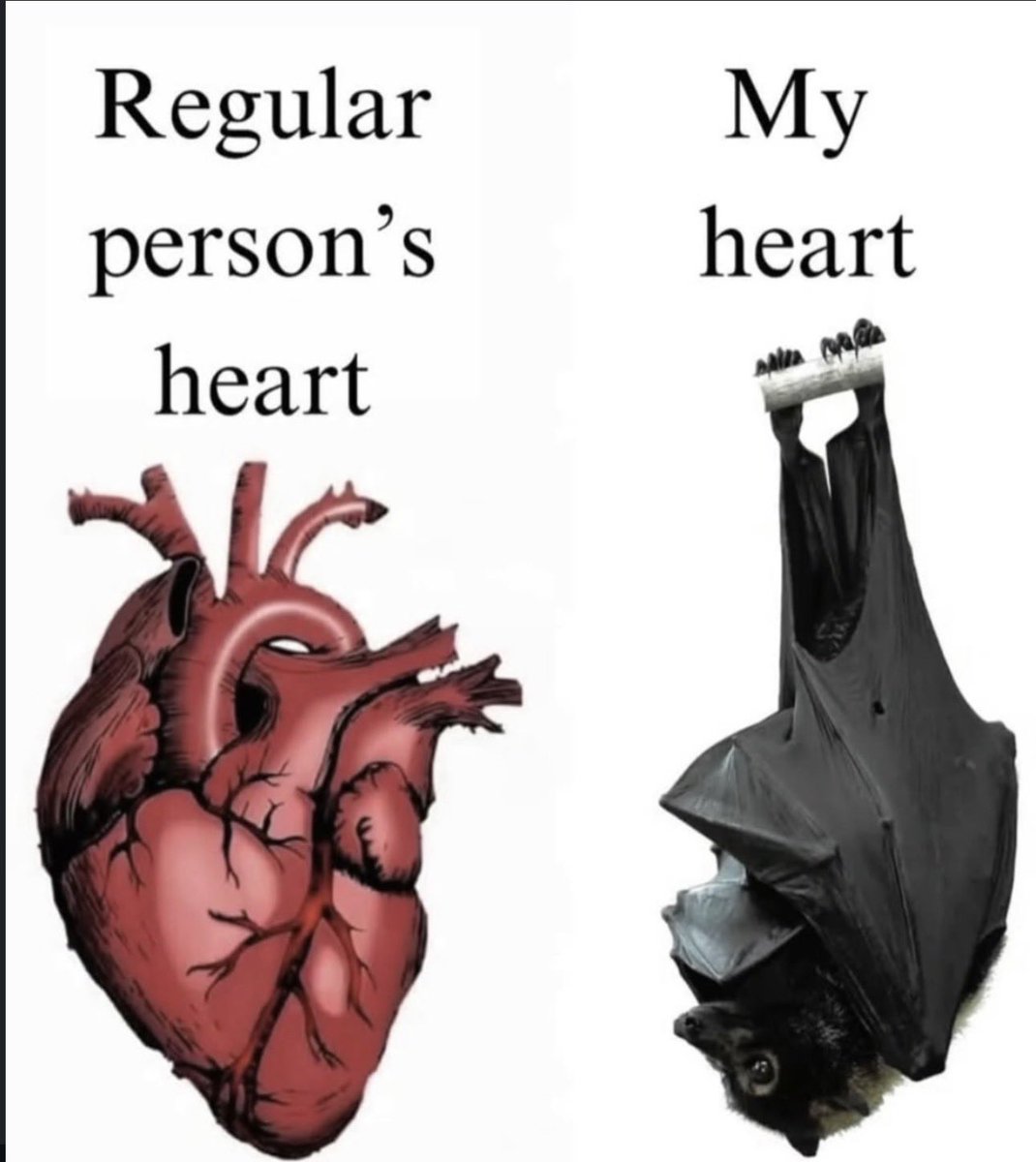 𝑙𝑖𝑡𝑡𝑙𝑒 𝑚𝑜𝑜𝑛 ⏾ tweet media