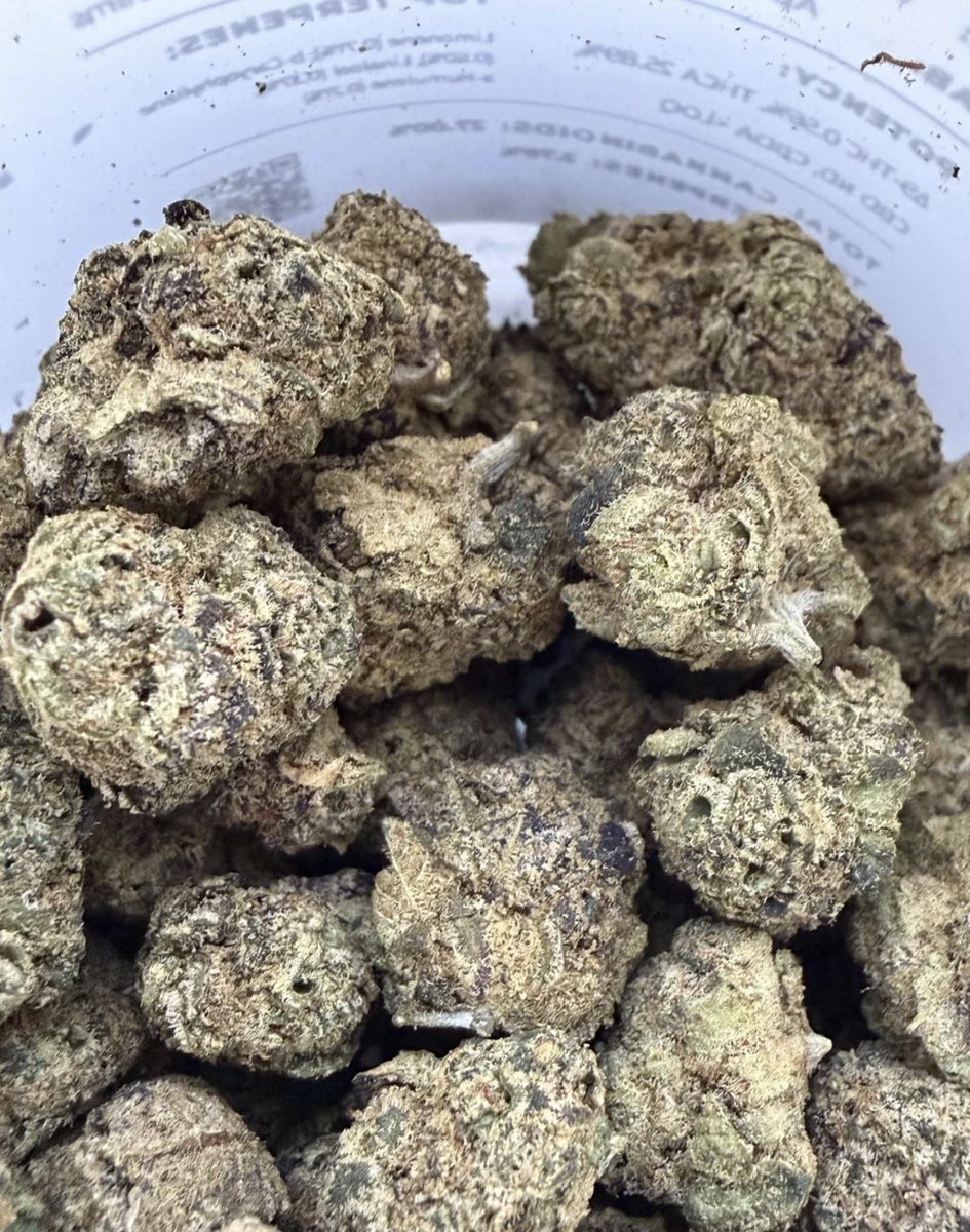 SONIC BUDS tweet media