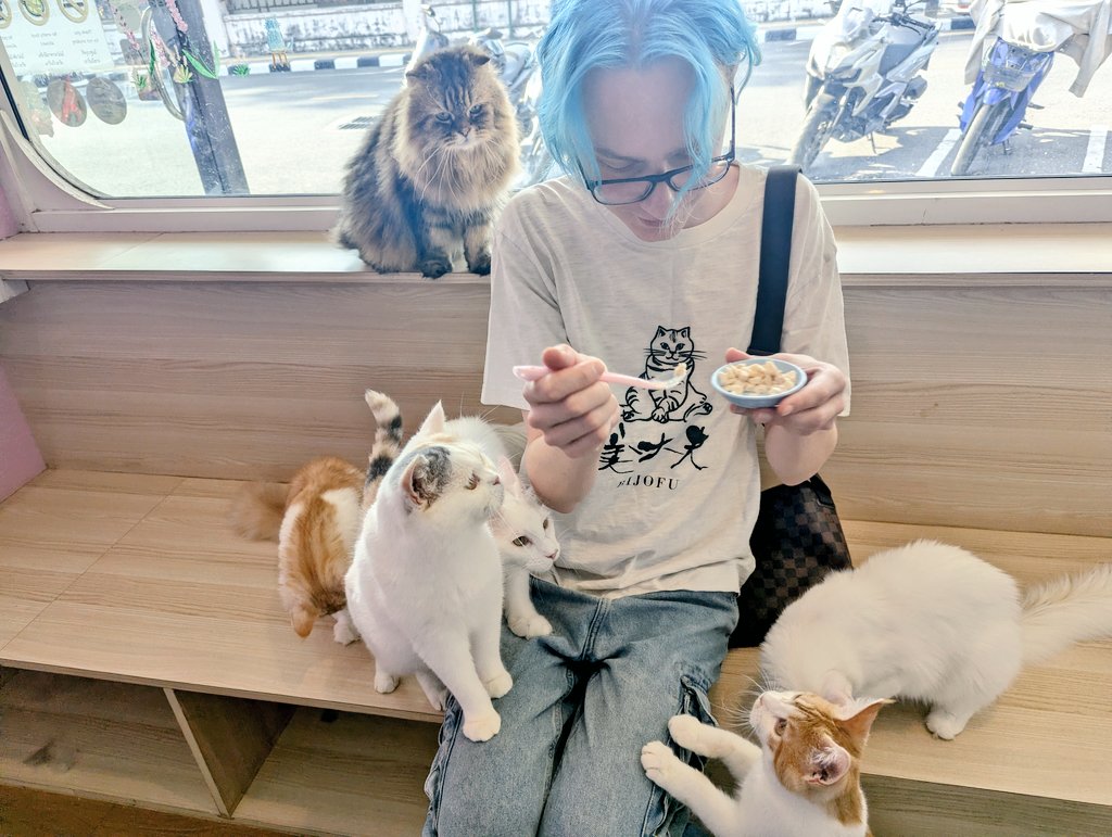 アルトゥル📛日本推しラトビア人 tweet media