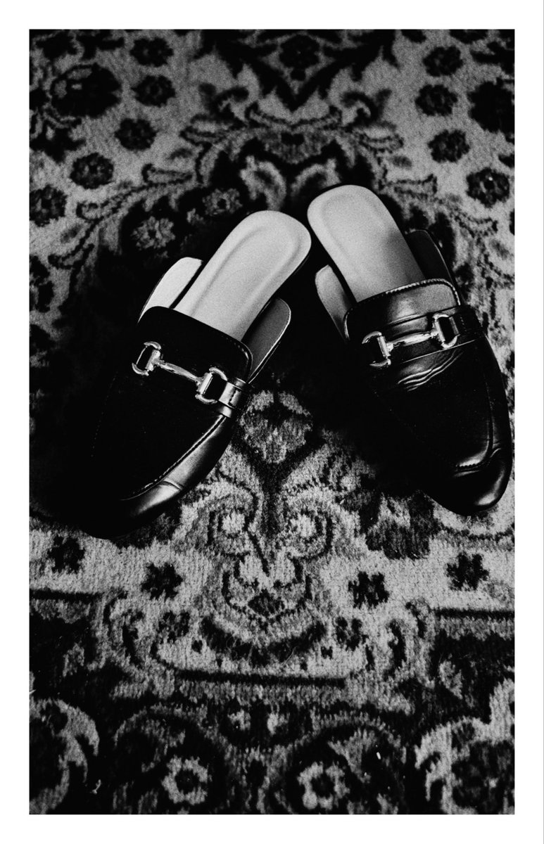 BedaBrunnerPhotography tweet media