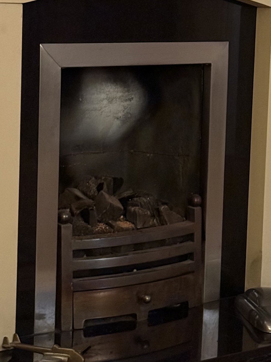 LA Woman 🐈‍⬛ 🐱 😻❤️ 💫 tweet media