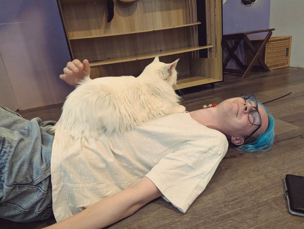 『ラトビア人はロシアの奴隷になれ』と言われたアルトゥル氏。『そんなものなるわけない』と全然凹んではなさそうでしたが、日頃の疲労回復のために猫カフェに行ったところ、しっかりと『猫の奴隷』になっていた。しかも幸せそうだった。心も体も満たされたようで非常に良かった。