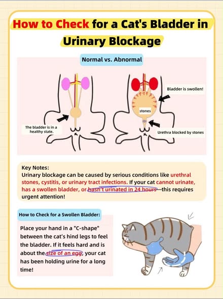 Ginger Geronimo tweet media