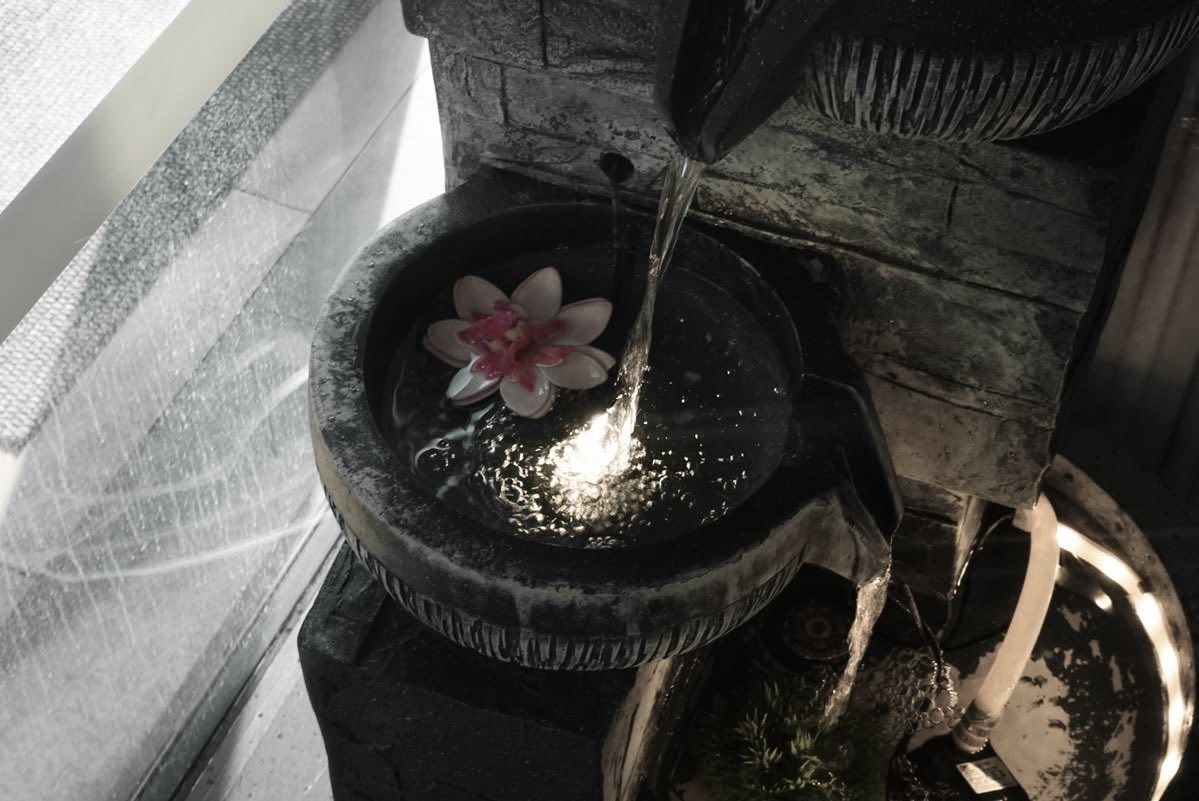 Miy | VAI VER O ENHYPEN . ˓ ⭑ ࣪˖ tweet media