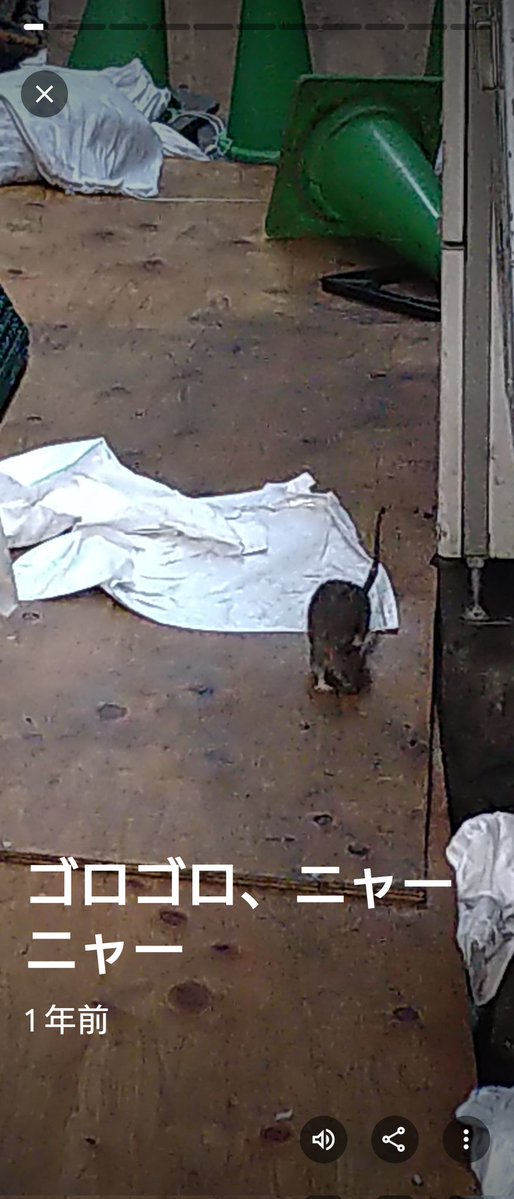 島袋全優🌸入院中 tweet media