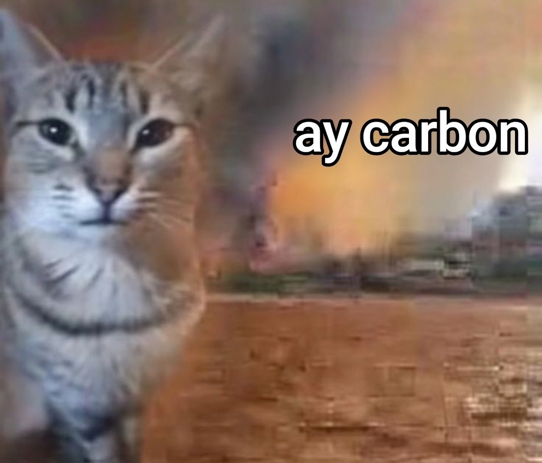 M4L4 du Waffle tweet media