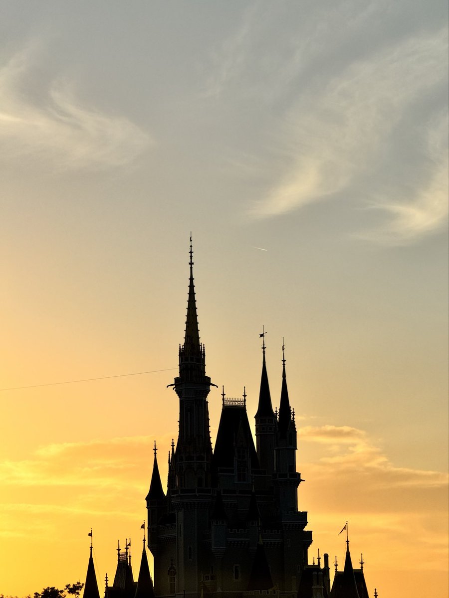 NicolasSW3's tweet image. Dernier coucher de soleil ☀️ #DisneyWorld #DisneyMagicKingdom