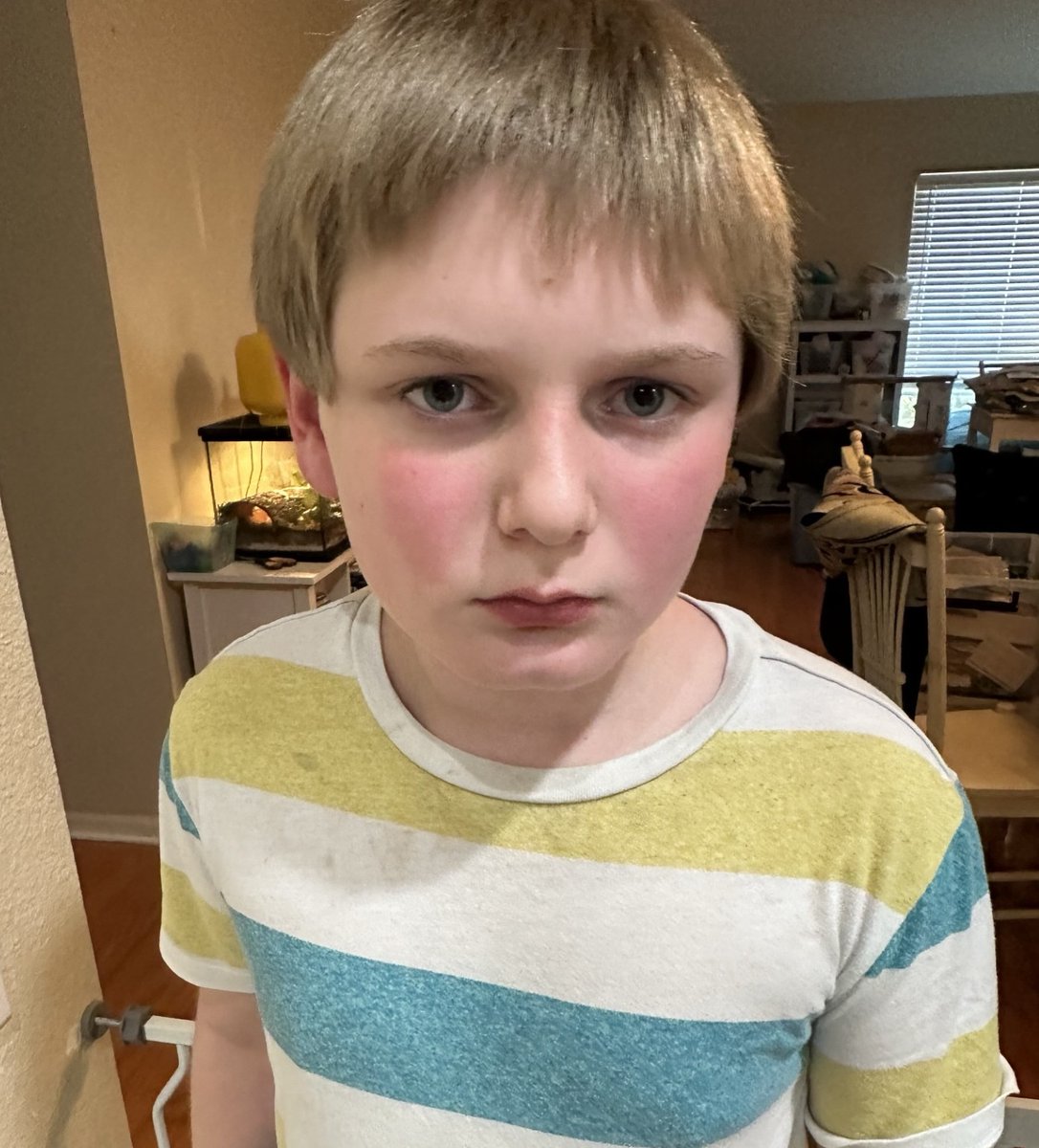 Pasco Sheriff tweet media