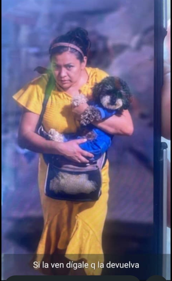 Inyerber Gutiérrez 🇻🇪🇻🇪🇻🇪 tweet media