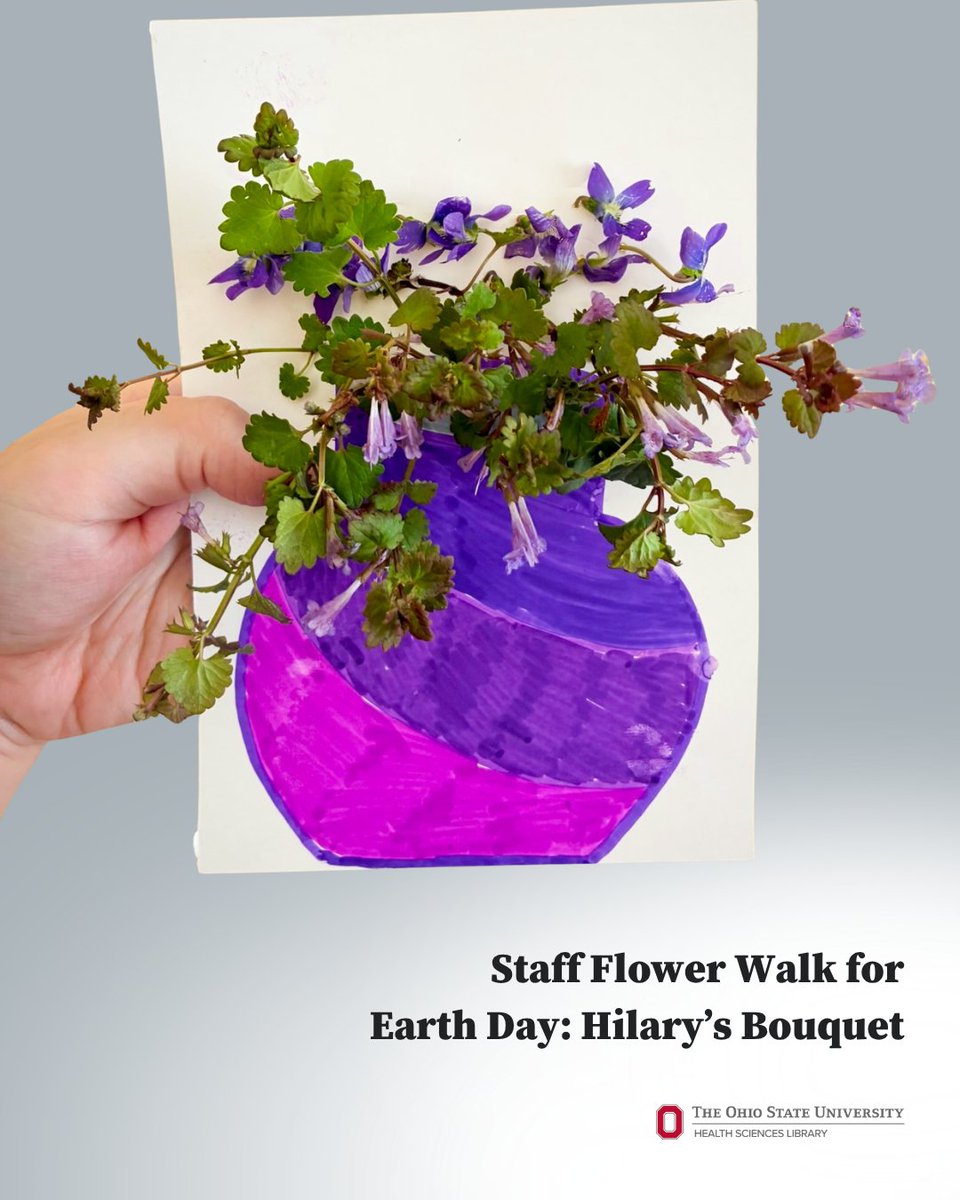 OSUhsl's tweet image. For #EarthDay, Health Sciences Library (HSL) staff were invited to participate in a flower walk. Thank you, Hilary and Cat, for sharing your bouquets!

Even when life is busy, don't forget to take time to enjoy the beauty of our campus. ☀️

#OhioState #MedLibs #OSUWexMed #OSUHSL