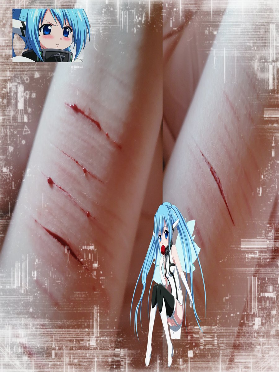 🦭 | shedtwt tweet media