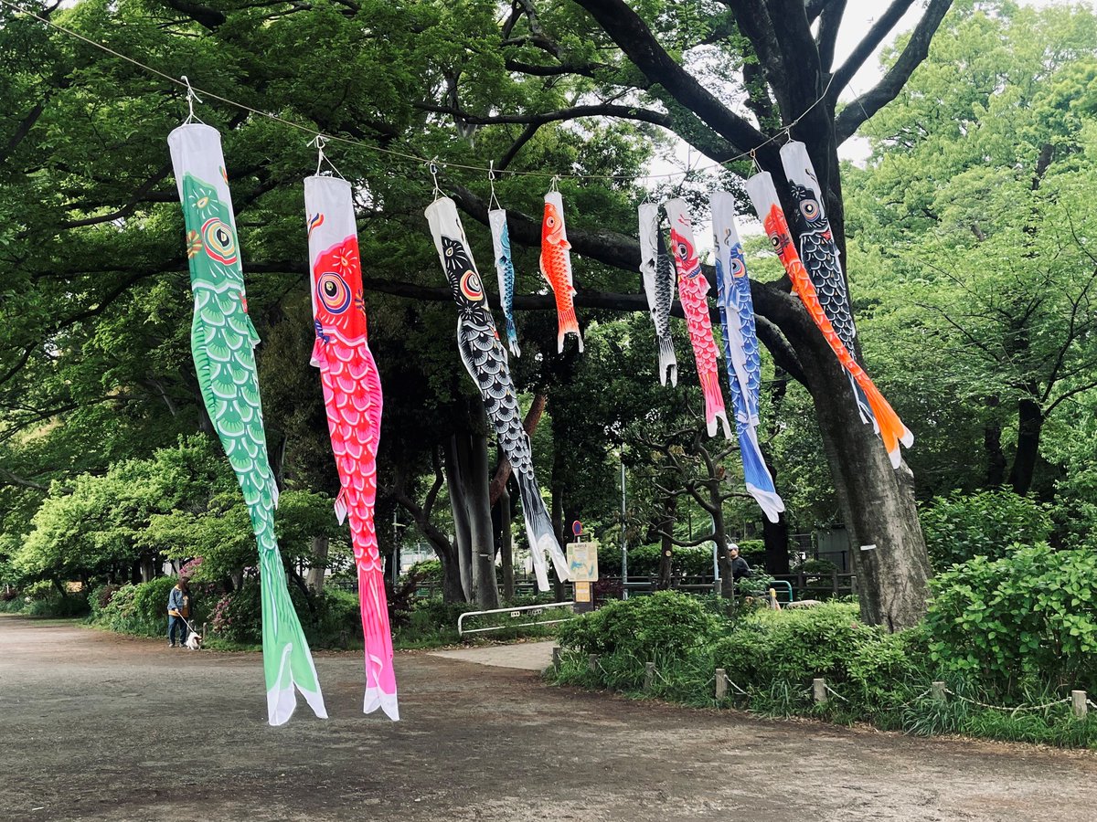 都立善福寺公園 tweet media