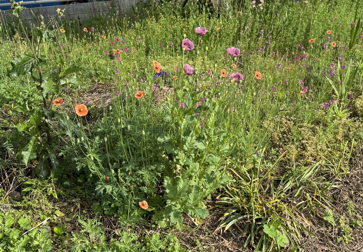 あっ、あれれ、あれれー
おかしいなぁー