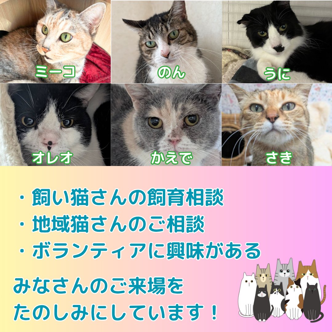 えどねこ tweet media