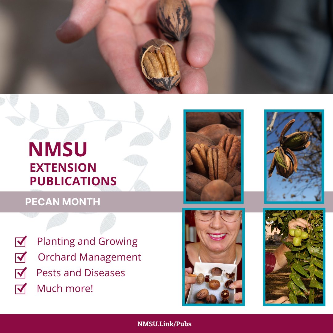 NMSU Extension Pubs tweet media