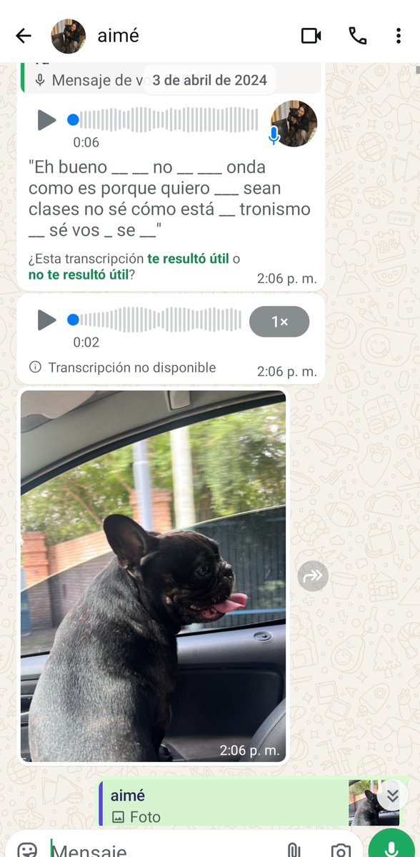 lara tweet media