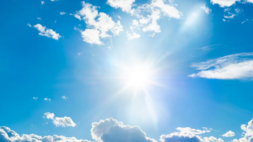 Kari Valli tweet media