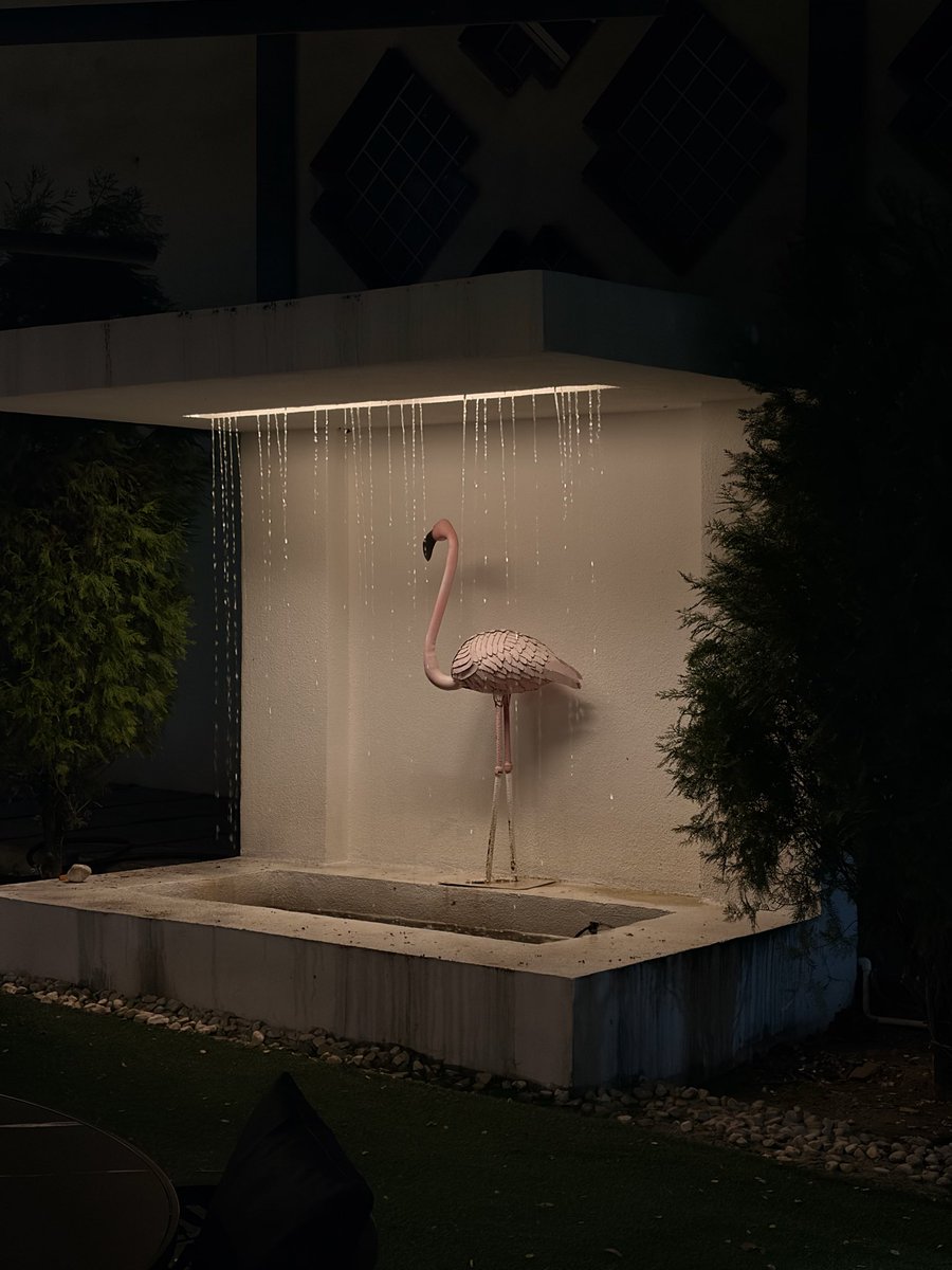 -𝘚𝘢𝘲𝘢𝘳 tweet media