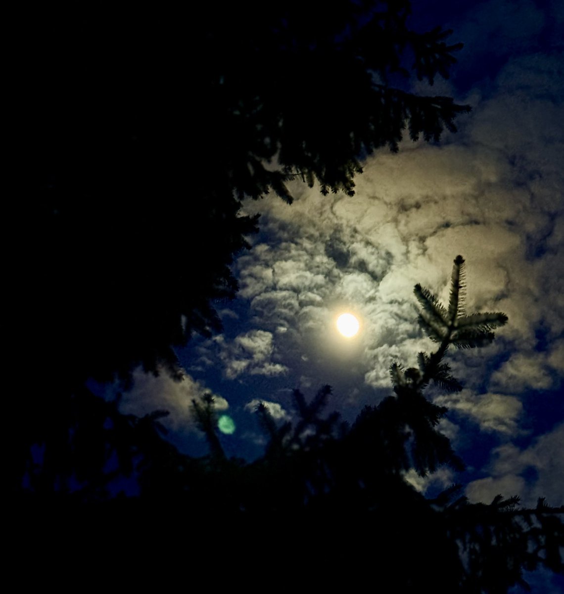 ubiquity11's tweet image. Moon night fam

She’s always watching us, quiet and so mesmerizing
🌓
#moon #nightlight