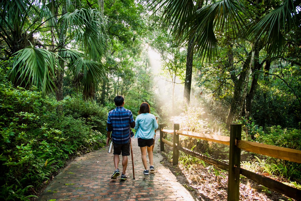 Florida State Parks tweet media