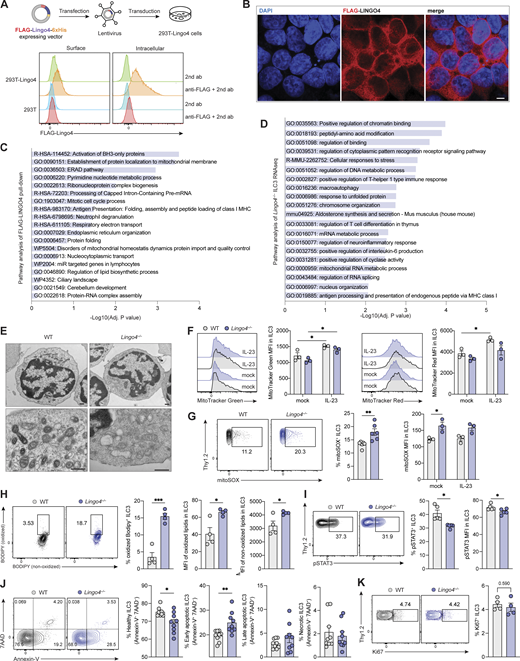 Journal of Experimental Medicine tweet media
