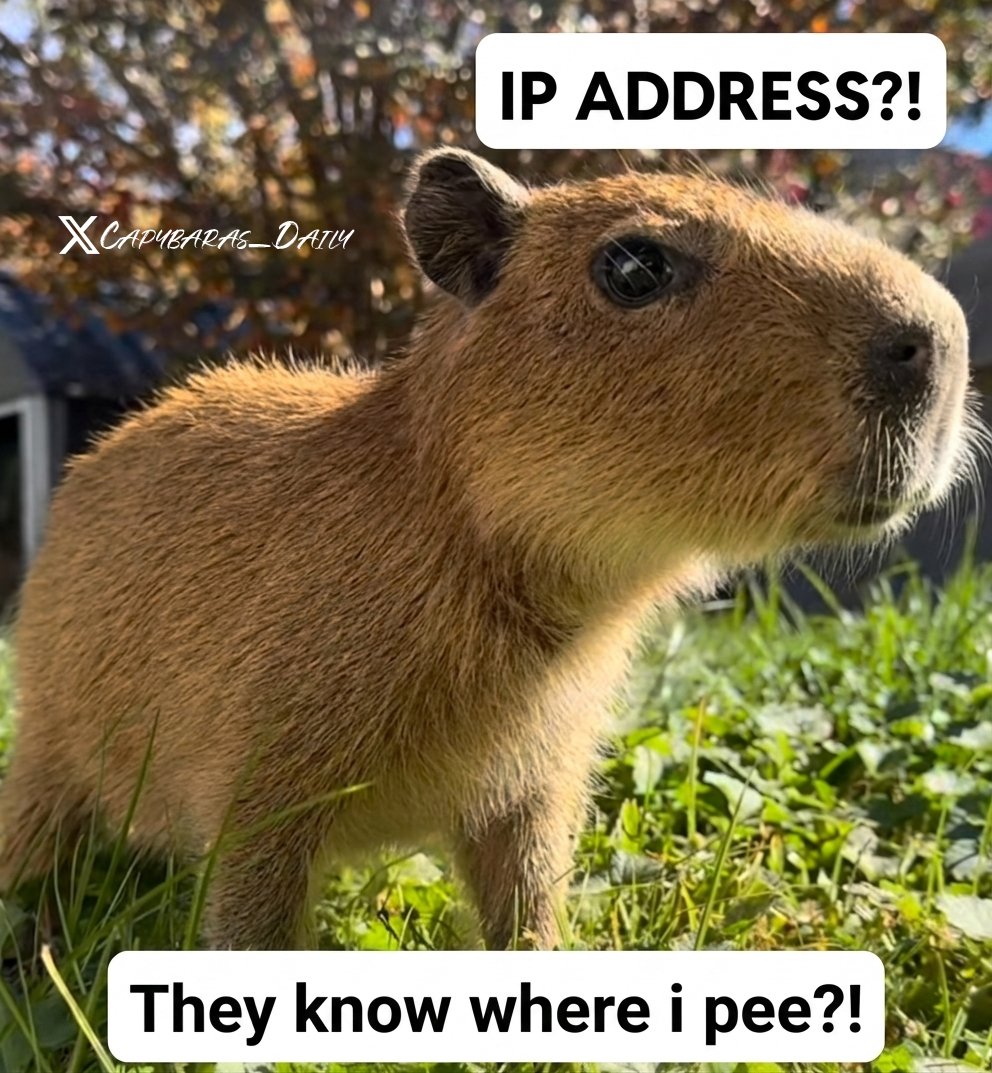 Karma Crypto Queen tweet media