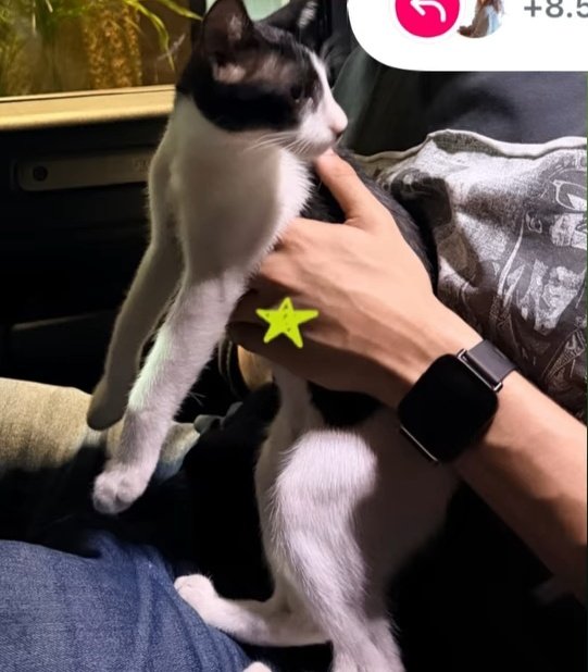 Avisha_diaries tweet media