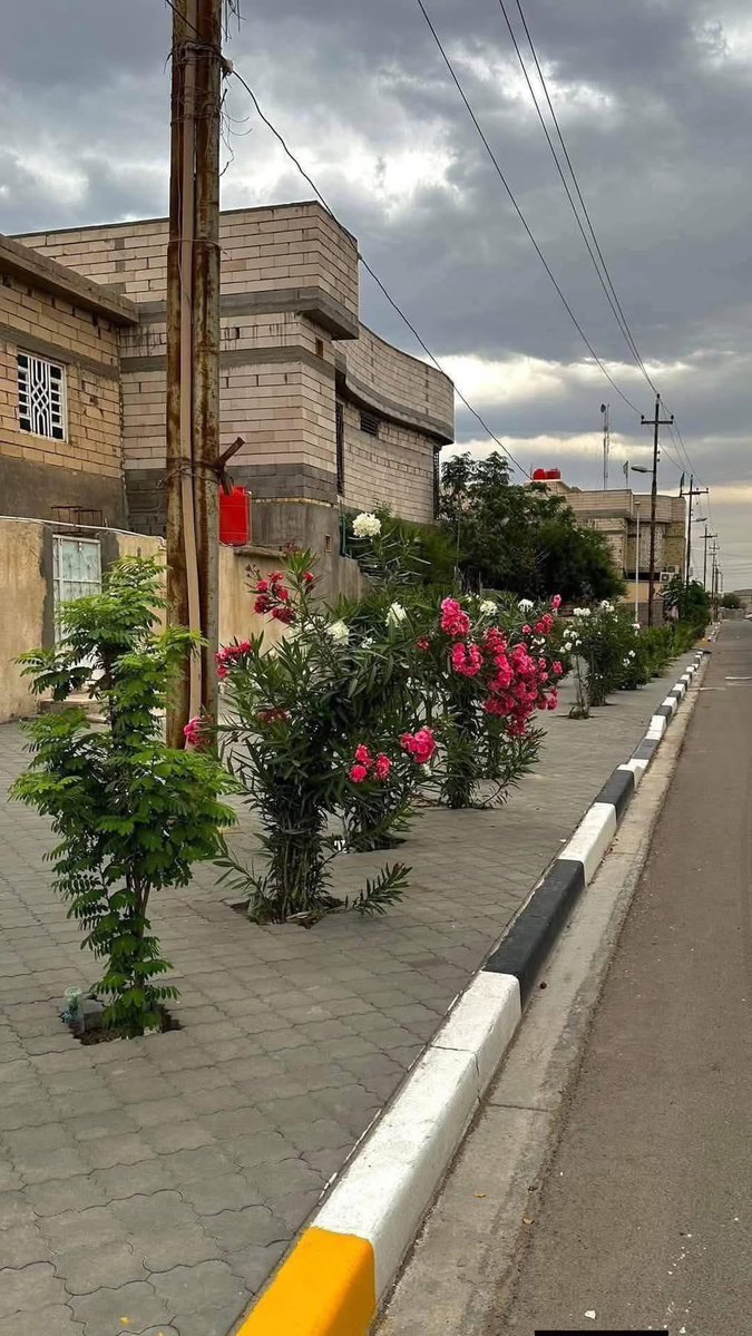 سومرية tweet media