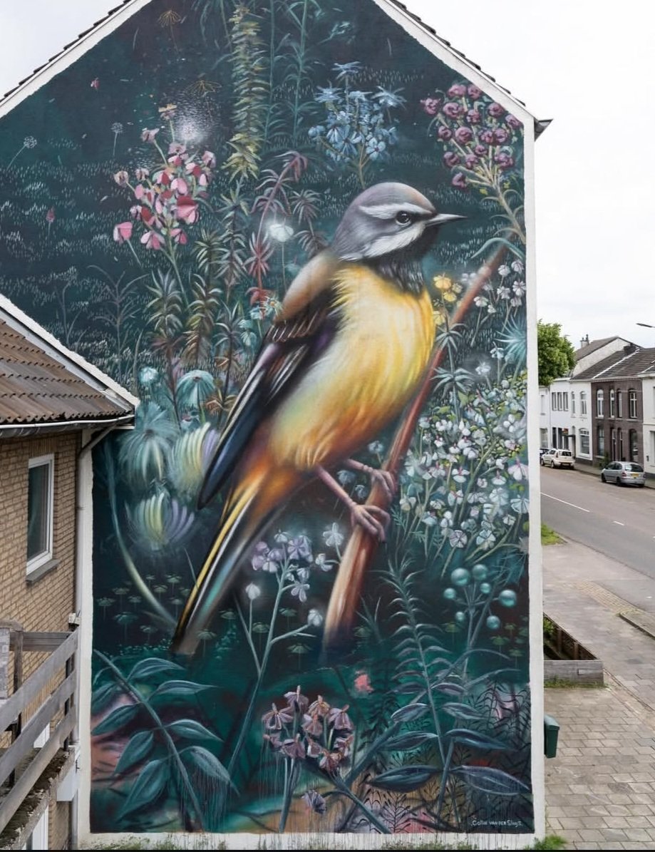 nouatre's tweet image. #streetart. #urbanart. #mural 
By : Collin Van Der Sluijs