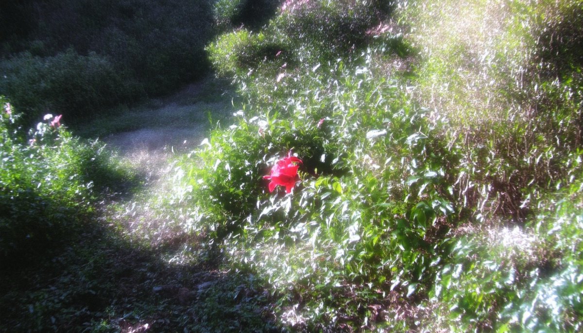 𐬽𐬻𐬽𐬻𐬽 tweet media