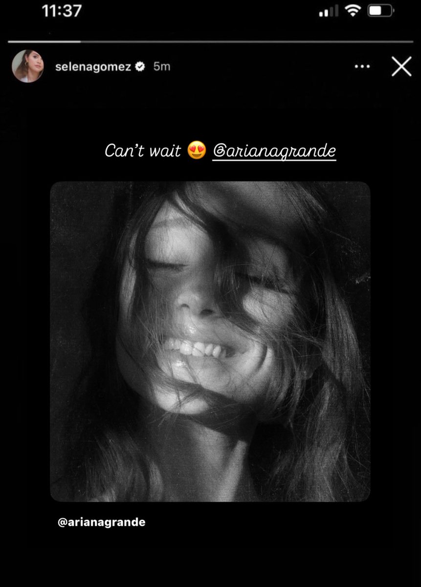 kush ꕤ tweet media