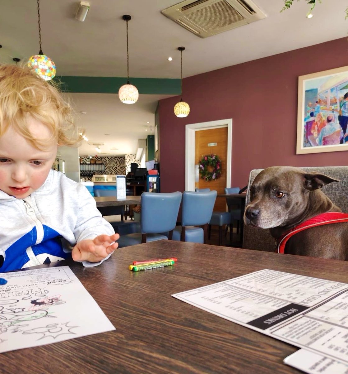 IsaMary2021's tweet image. Mummy’s friend’s little boy did me a picture.  I was very impressed 😍❤️❤️
#IsaMary #Cute #Dogs