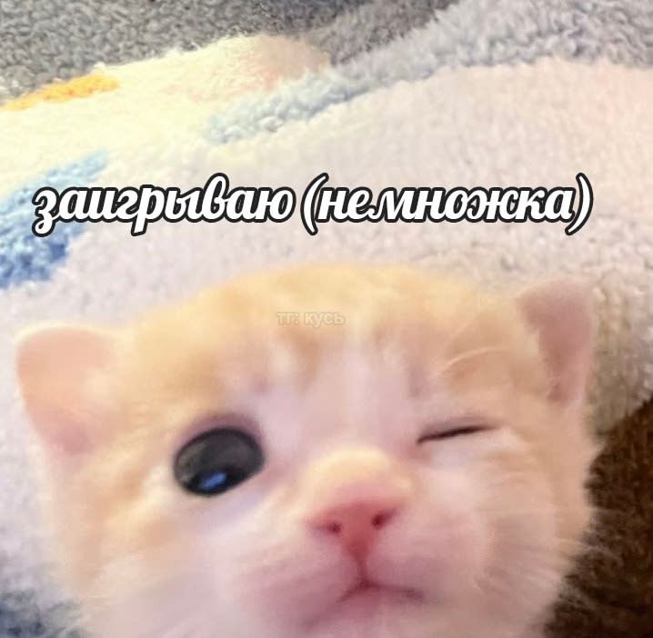 светлый русский громкий смех tweet media