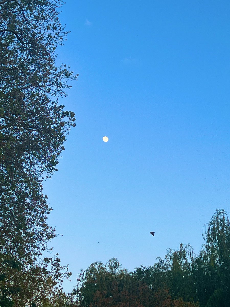 Moustafamoh2008's tweet image. هل في حد جاي ؟ 
#تصويري 
#photographer