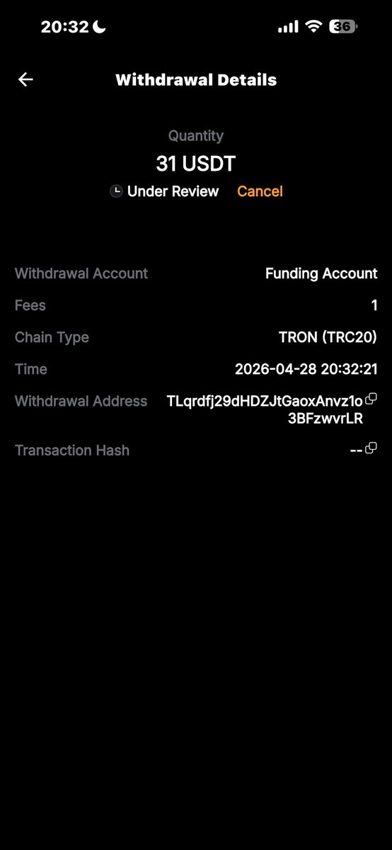 BETLEADS tweet media