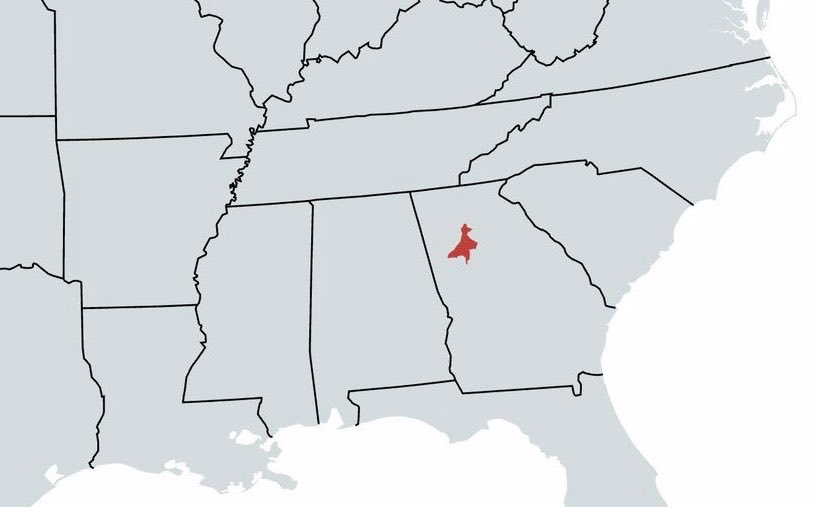 Trey the Explainer 🔜 FWA tweet media