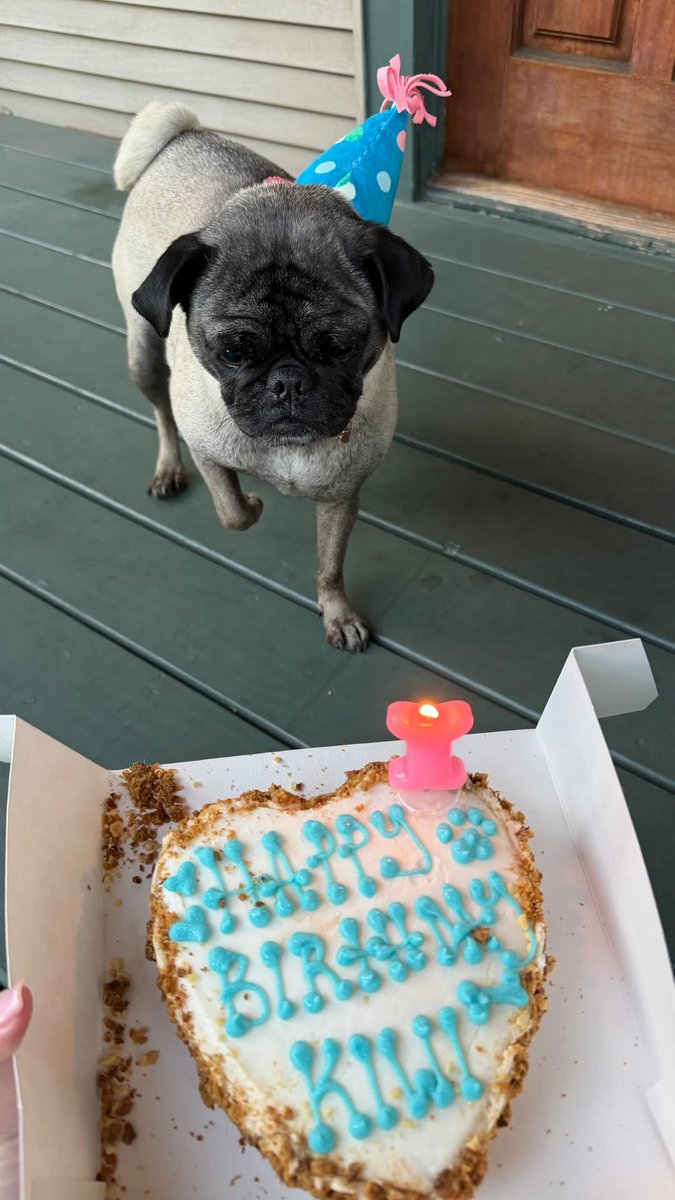 matilde marroni 🇺🇾🇦🇲 tweet media