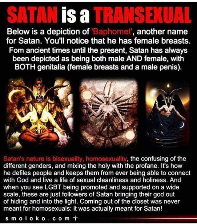 ULTRA MAGA SchnitzelChick tweet media