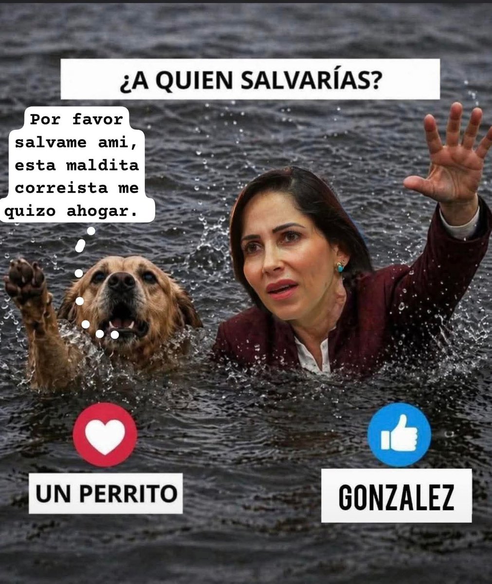 BellaAmapola77 tweet media