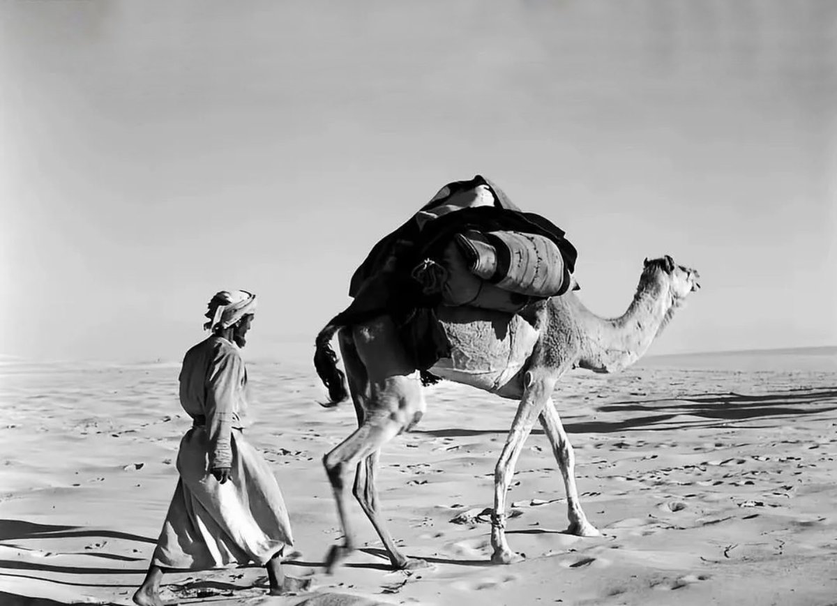 دمـو؏ الـورد ⁞ ❀ tweet media