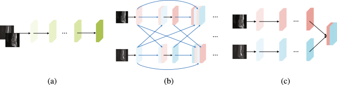 Control Theory and Technology tweet media