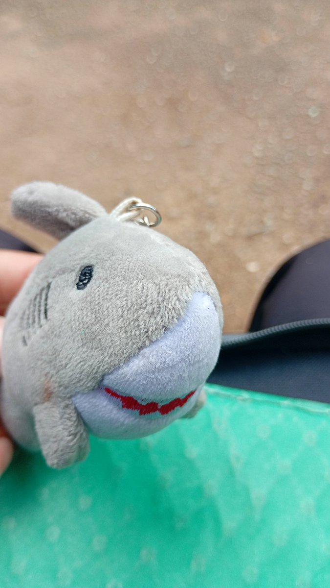 𝕭𝔩𝔬𝔬𝔡 𝕾𝔲𝔫 🏳️‍⚧️🩸🔪 tweet media