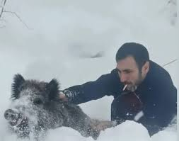 İplikçi@ tweet media