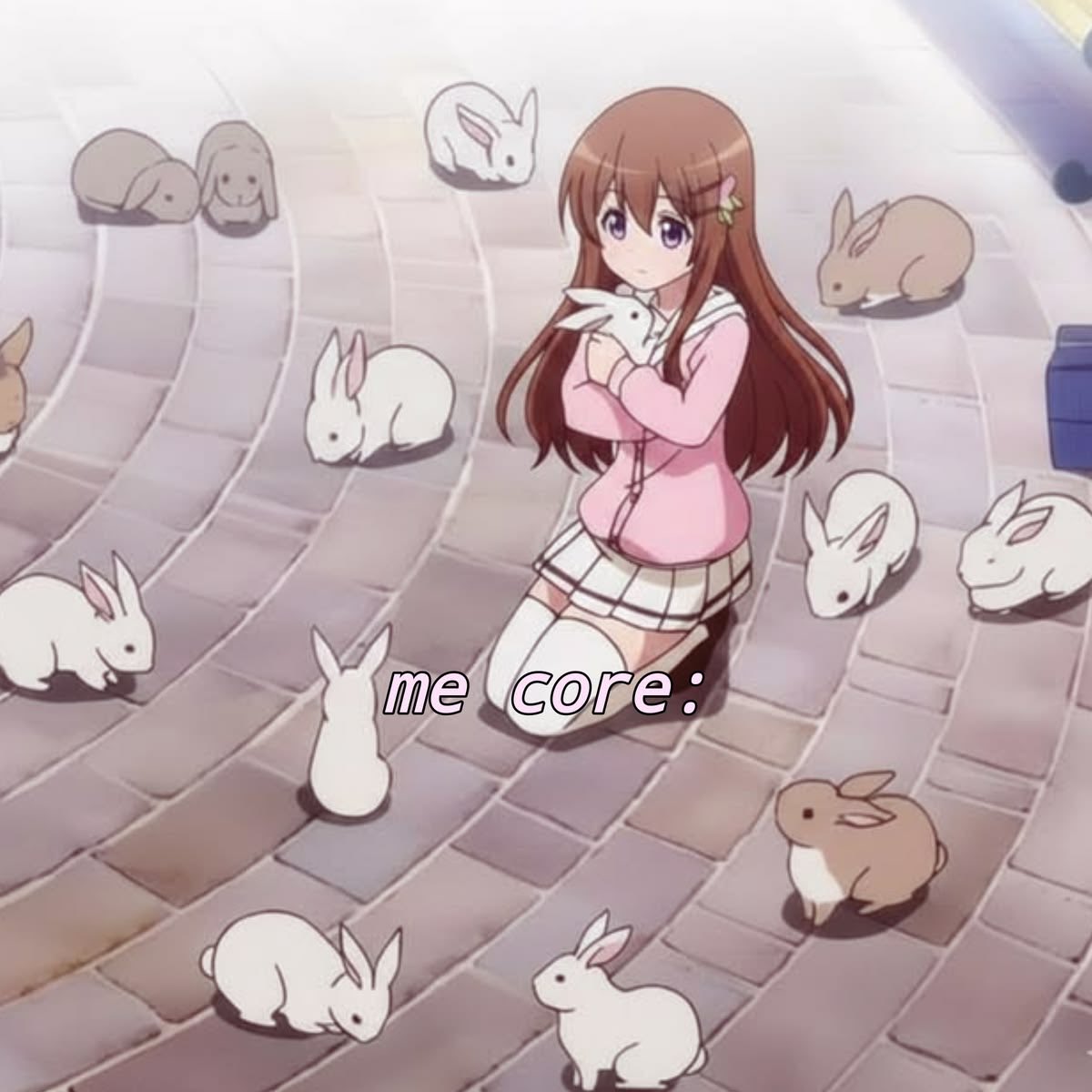 aria ♡ tweet media