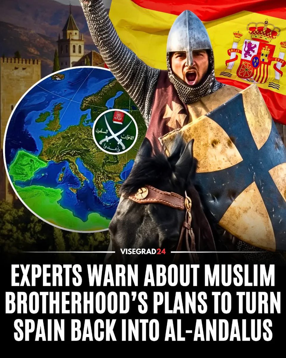 Visegrád 24 tweet media